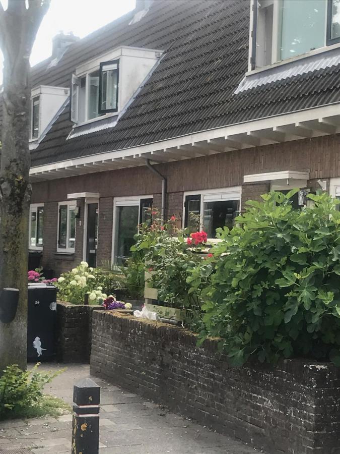 Het Zonnetje Apartment Zandvoort Bagian luar foto